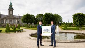 Wow: Kilkenny shortlisted in Ireland's top ten 'Foodie Destinations'