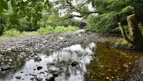 Kilkenny public urged to continue water conservation despite weather change