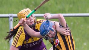 Camogie: Kilkenny beat Galway to join Cork in All-Ireland camogie semi-finals 