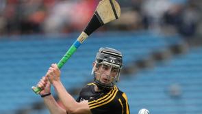 Kilkenny hurling: young Cats keep the All-Ireland dream alive