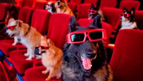 Kids' Movie Nights are back at O'Loughlin Gaels in Kilkenny