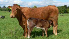 We hope the normality we knew will return to marts