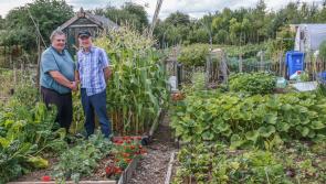 A slice of sustainable paradise on the edge of Kilkenny City