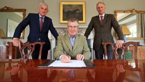 Goresbridge Horse Sales and Tattersalls Ireland are to join forces for Ireland's only Flat Breeze Up Sale