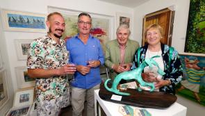 Pop up  Kilkenny Art Gallery features host of renowned of artists  