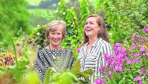 Sweet south Kilkenny firm takes London Great Taste Award accolade