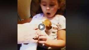 WATCH: Adorable moment little Kilkenny girl meets her new best friend