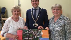 Heritage trail offers a glimpse of Inistioge through the ages
