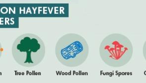 Electric Picnic - Get on top of your hayfever and asthma to have a great weekend!