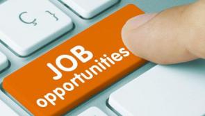 Kilkenny Jobs Roundup- Who's hiring in the county this week?