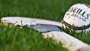 Kilkenny GAA club set to purchase new land 