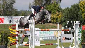 Kilkenny showjumper has weekend to remember