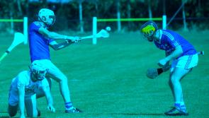 Kilkenny SHL: Victory at last as Erin's Own beat Danesfort