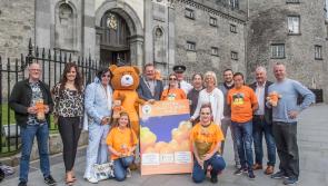 Giving Light and Hope walk to take place in Kilkenny City