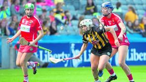 Camogie Cats can bounce back, but handbrake must be taken off