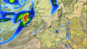 Storm Ali knocks out electricity and downs trees in Kilkenny