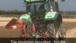 Ploughing conditions perfect at National Ploughing Championships today!