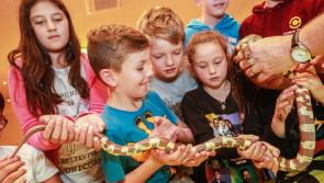 Children with scoliosis enjoy fun day with National Reptile Zoo in Kilkenny