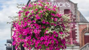 January: Hats off on a  joint second place for Kilkenny in  Tidy Towns competition