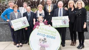 Kilkenny community buzzing with success in Tidy Towns