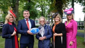 It’s a scrum to Gowran Park for Kilkenny  Rugby Race Day on  October 5
