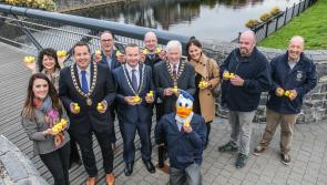 Kilkenny Lions Club Duck Race - get a duck for October 28