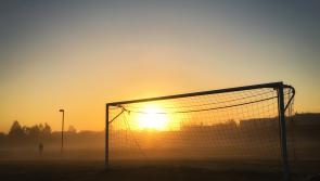 Endgame: exploring the Amazon on a voyage of great sporting books