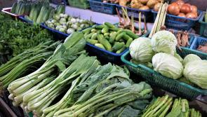 Learn to grow vegetables at Goresbridge Community Garden