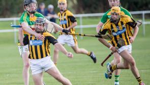 Danesfort rally to retain Kilkenny senior hurling status