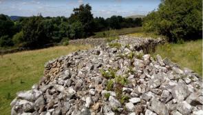 A chance to get involved in Kilkenny field names project