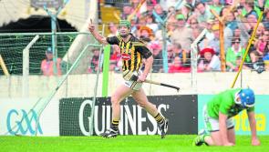 Hurling: King Henry is all set to make a comeback for Kilkenny!