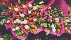 Gala flower demonstration in aid of Amber Kilkenny and Pieta House