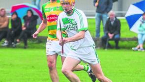 Kilkenny clubs will have their men available for Leinster 