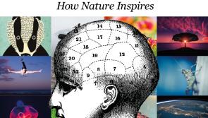 Can art influence our mental state?