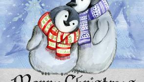 Christmas cards, cakes and trolley draw in Clontubrid 