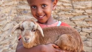 Trócaire  urge Kilkenny people to support their Christmas campaign