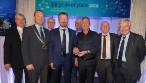 Three Kilkenny groups honoured at Pride of Place Awards