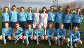 Soccer: Kilkenny duo shine for Leinster schools