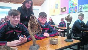 Castlecomer students enthralled by Biodiversity workshop