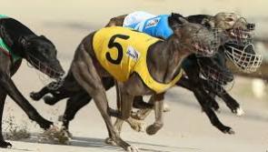 Kilkenny greyhounds: Going Places -and  in a hurry