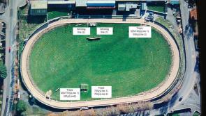 Early morning greyhound racing to begin in Kilkenny Greyhound Stadium next week
