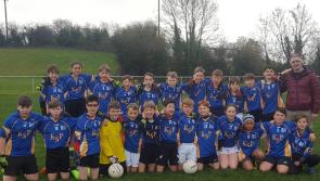 Kilkenny hurling: historic first win for the School Project
