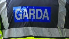 Gardaí investigate a second attack on young trees in Kilkenny housing estate