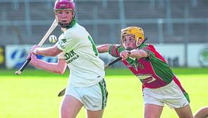 Kilkenny hurling: Shamrocks did what Shamrocks do......