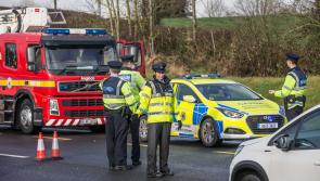 Kilkenny gardaí  highlight the dangers of driving the morning after consuming alcohol
