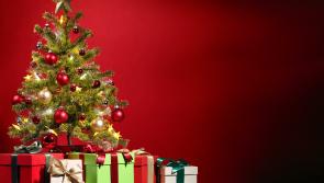 Kilkenny event guide: What's on in the county this week?