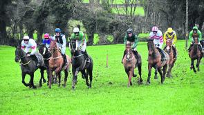Point to Point races in Ballyragget