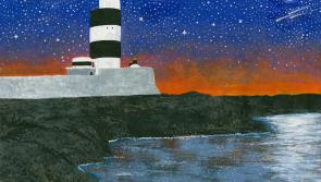Kilkenny student's artwork chosen for Texaco Calendar 