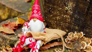 Christmas craft fair in Ballyragget