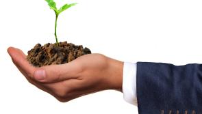 Energia Get Ireland Growing Fund calling on Kilkenny for Applications